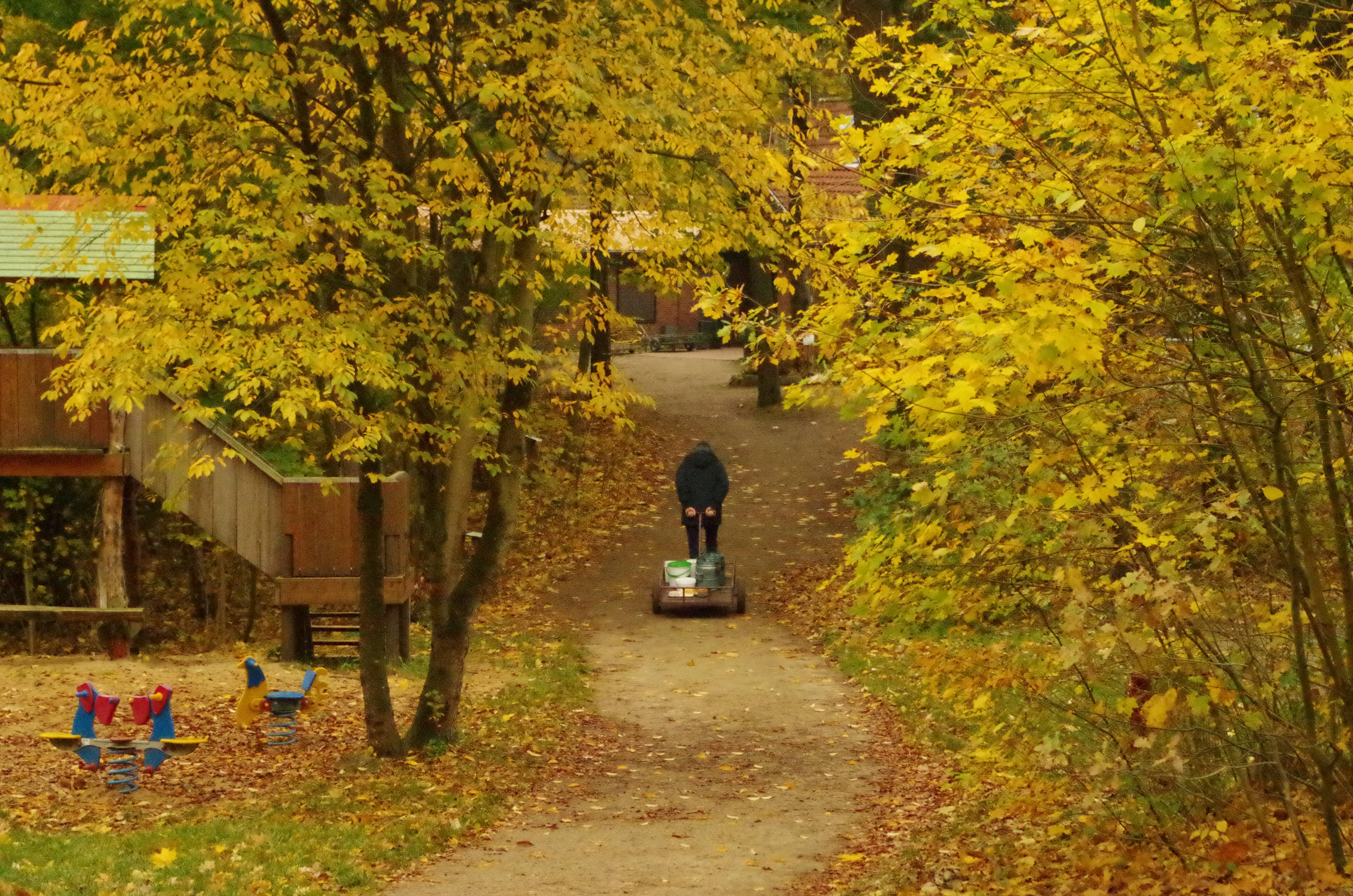 2.-4.11.18 Freizeit im Waldheim am Brahmsee