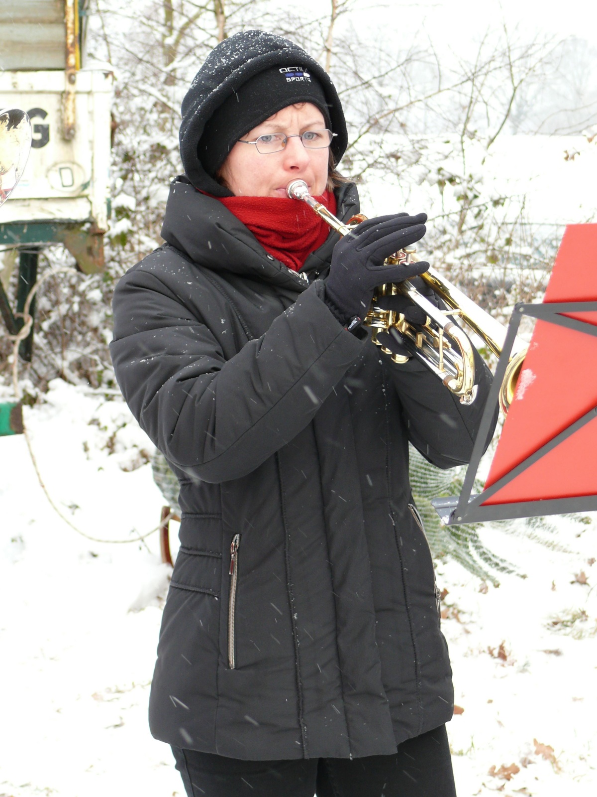 19.12.09 Baumschlagen