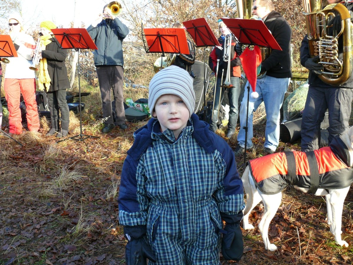 17.12.11 Baumschlagen 