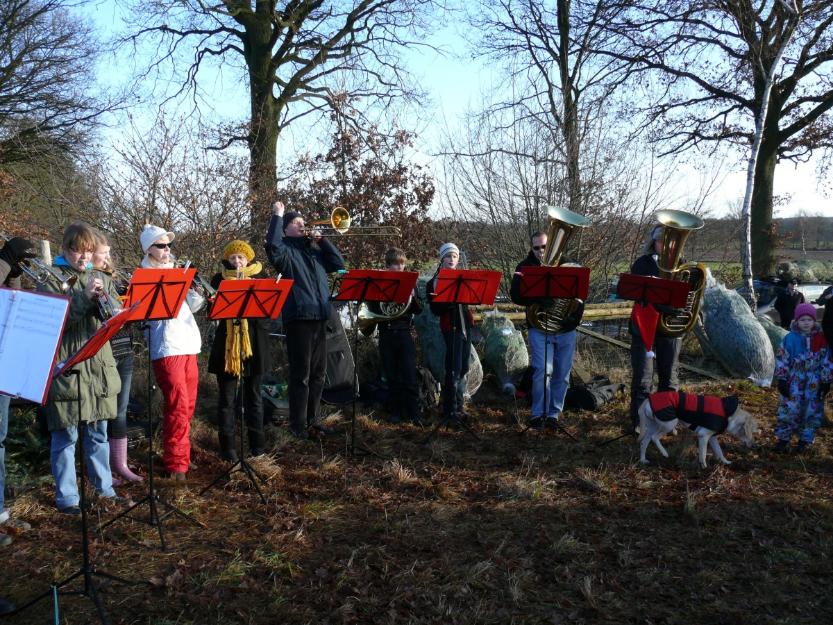 17.12.11 Baumschlagen 