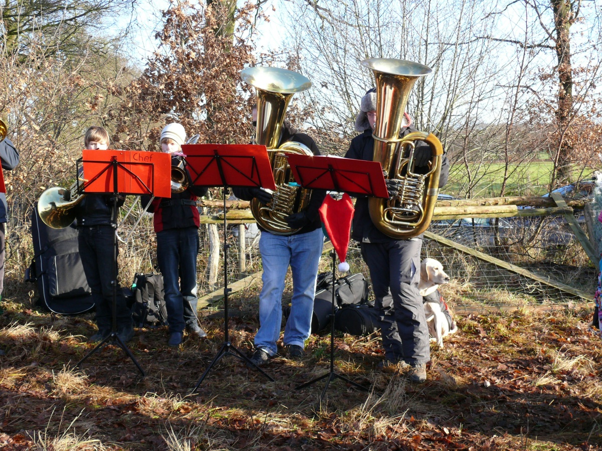 17.12.11 Baumschlagen 