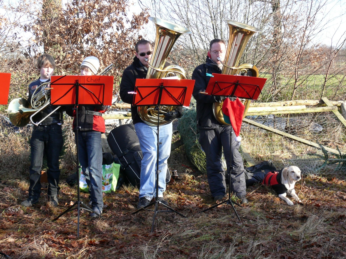 17.12.11 Baumschlagen 