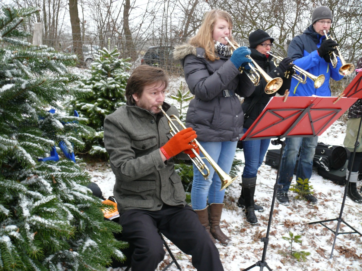 22.12.12 Baumschlagen 