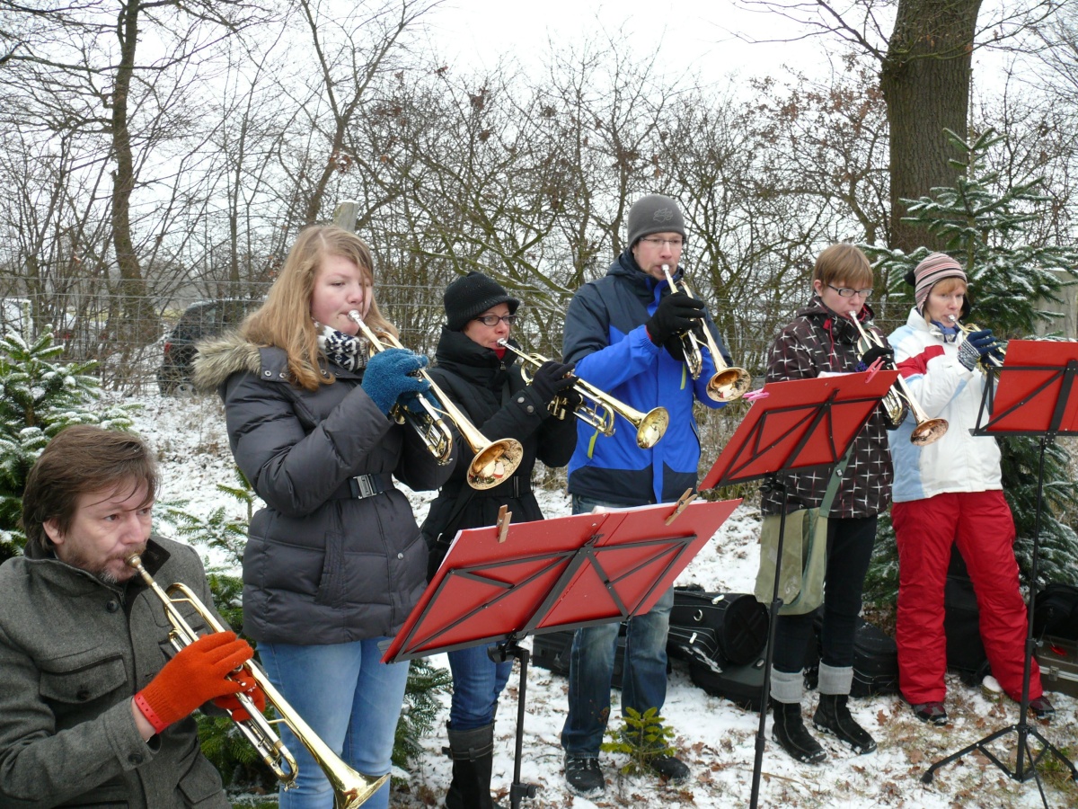 22.12.12 Baumschlagen 