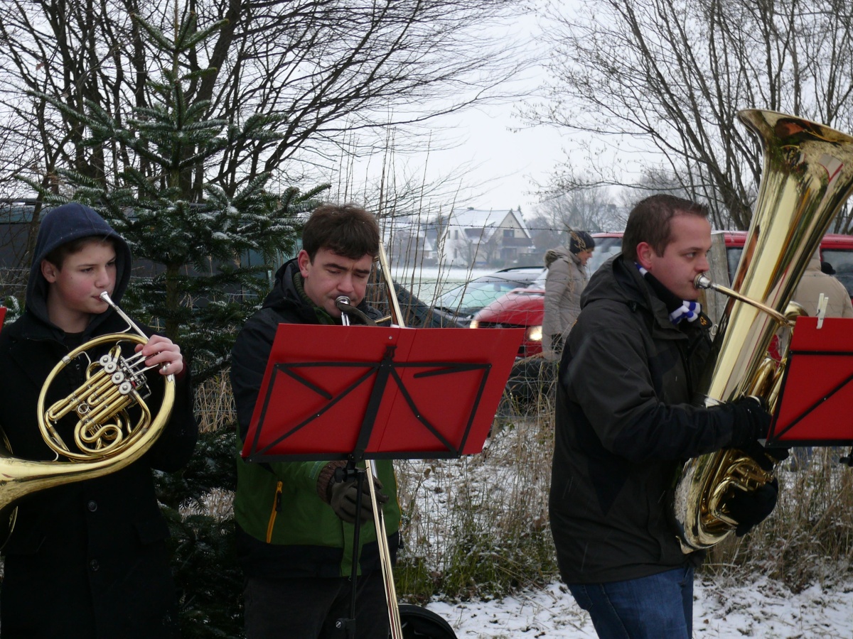 22.12.12 Baumschlagen 