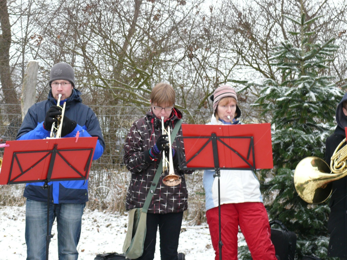 22.12.12 Baumschlagen 