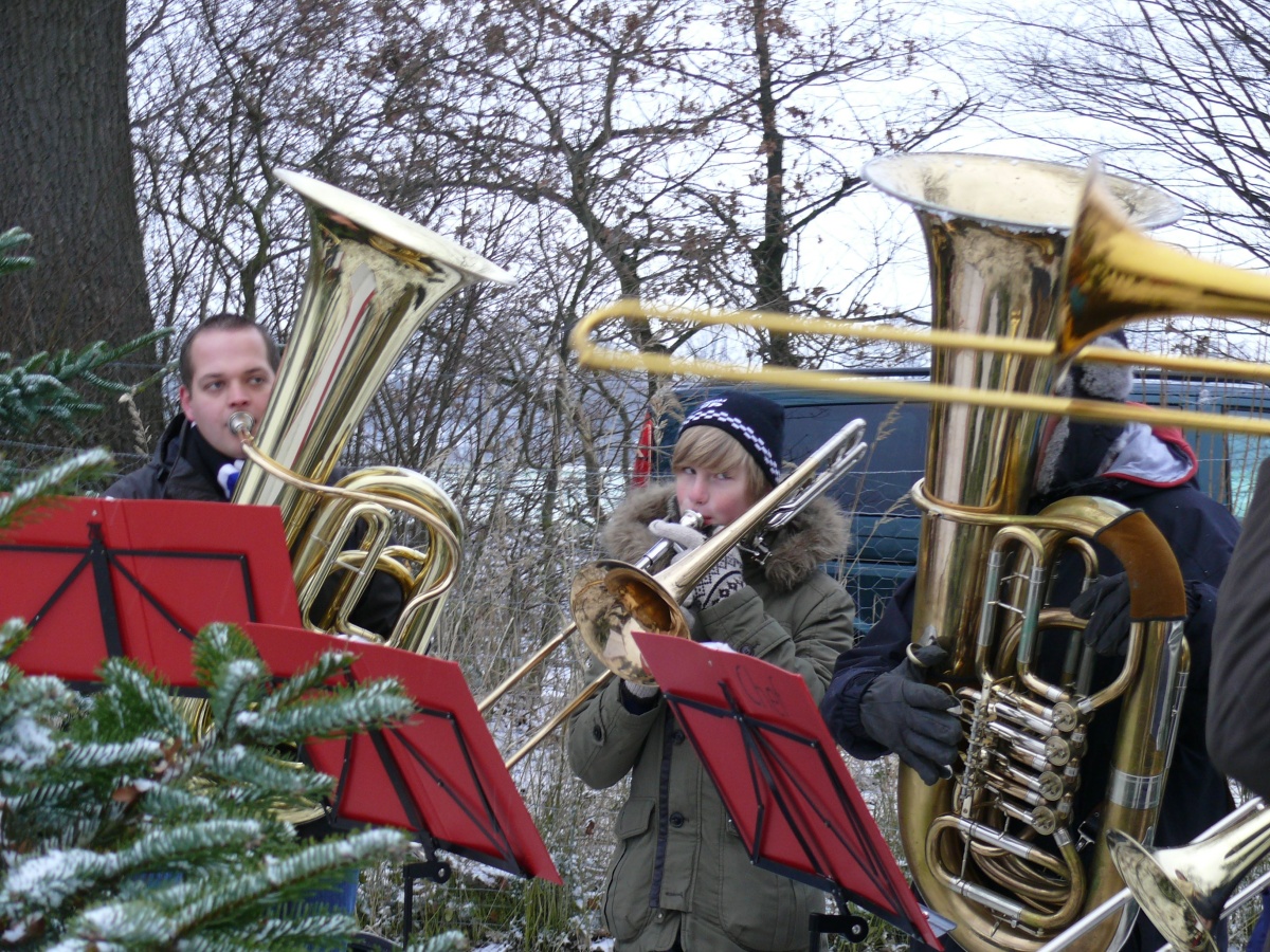 22.12.12 Baumschlagen 