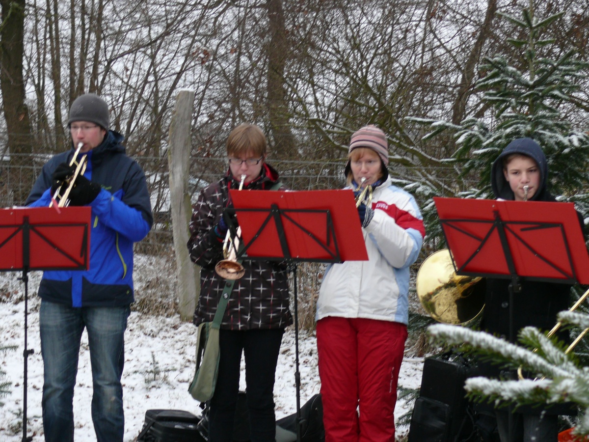 22.12.12 Baumschlagen 