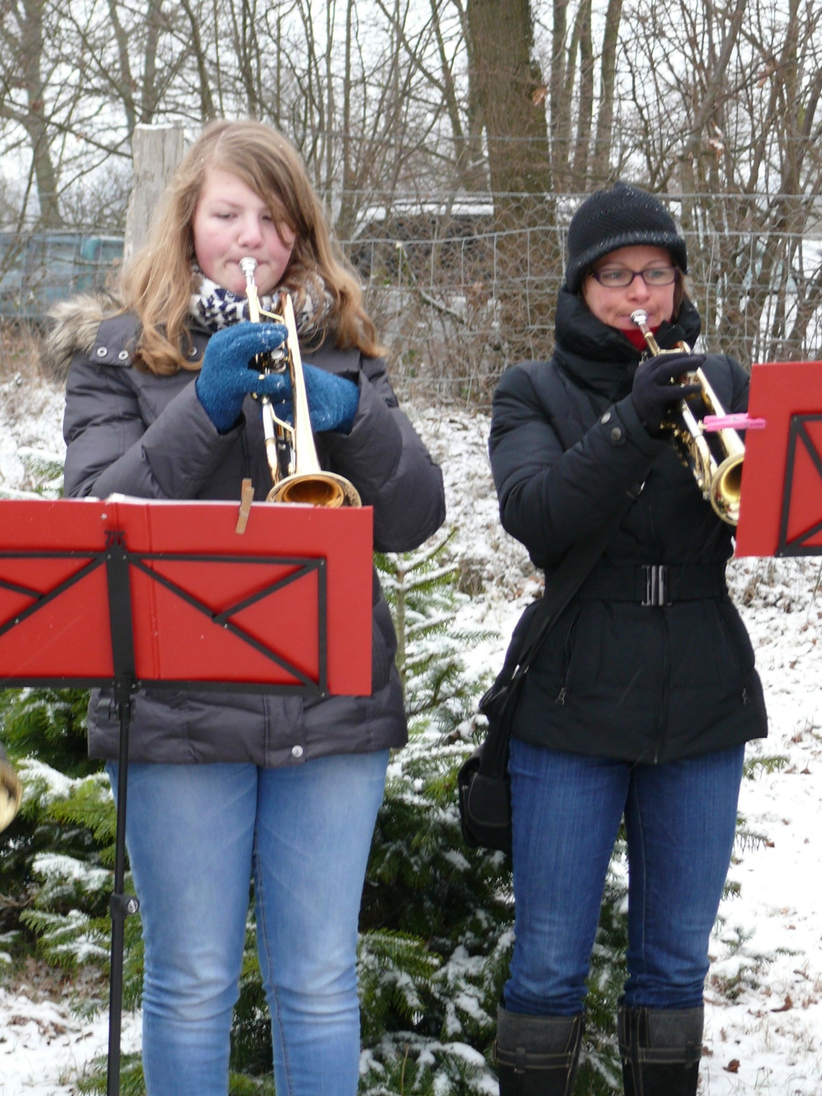 22.12.12 Baumschlagen 