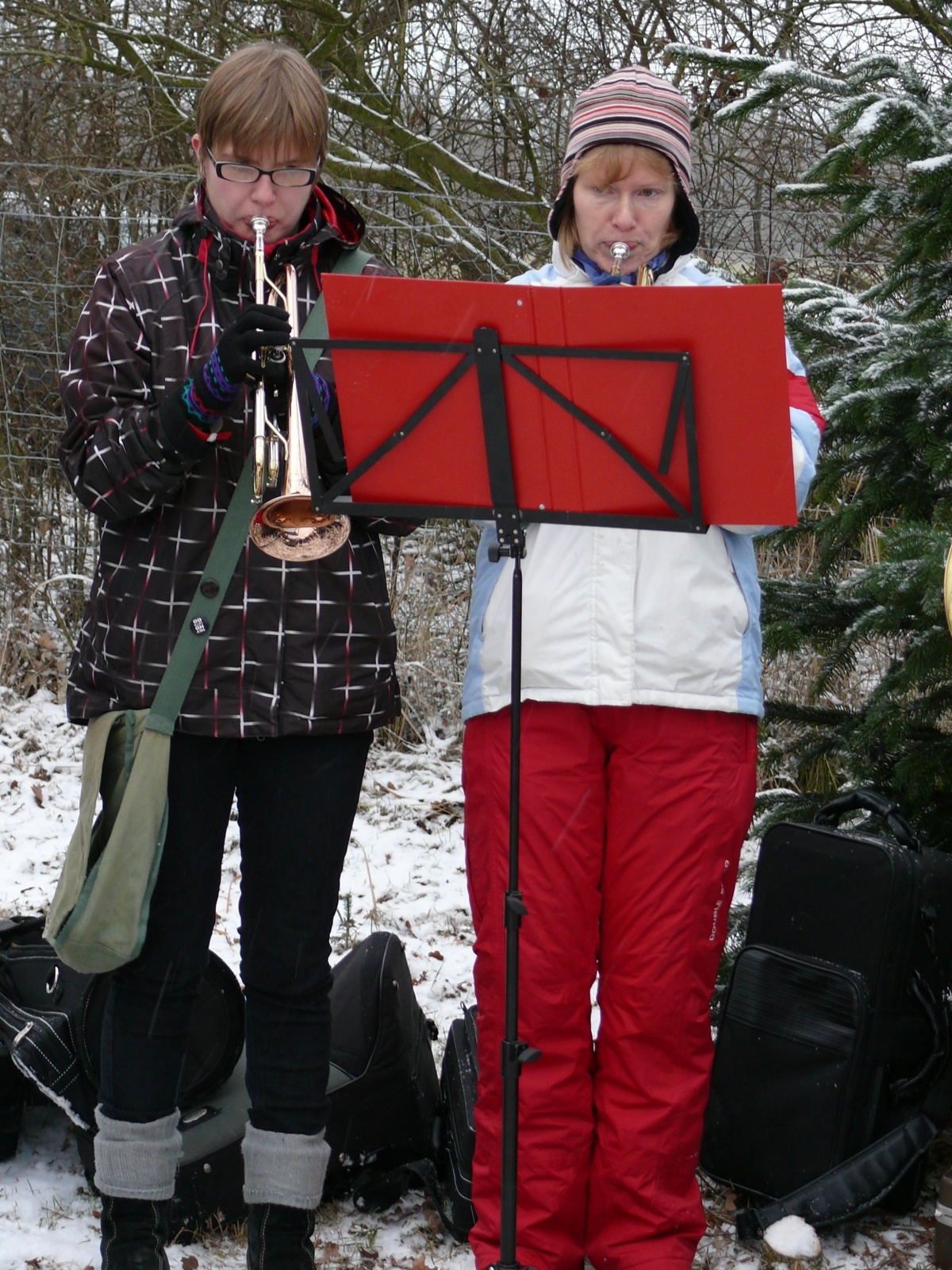 22.12.12 Baumschlagen 