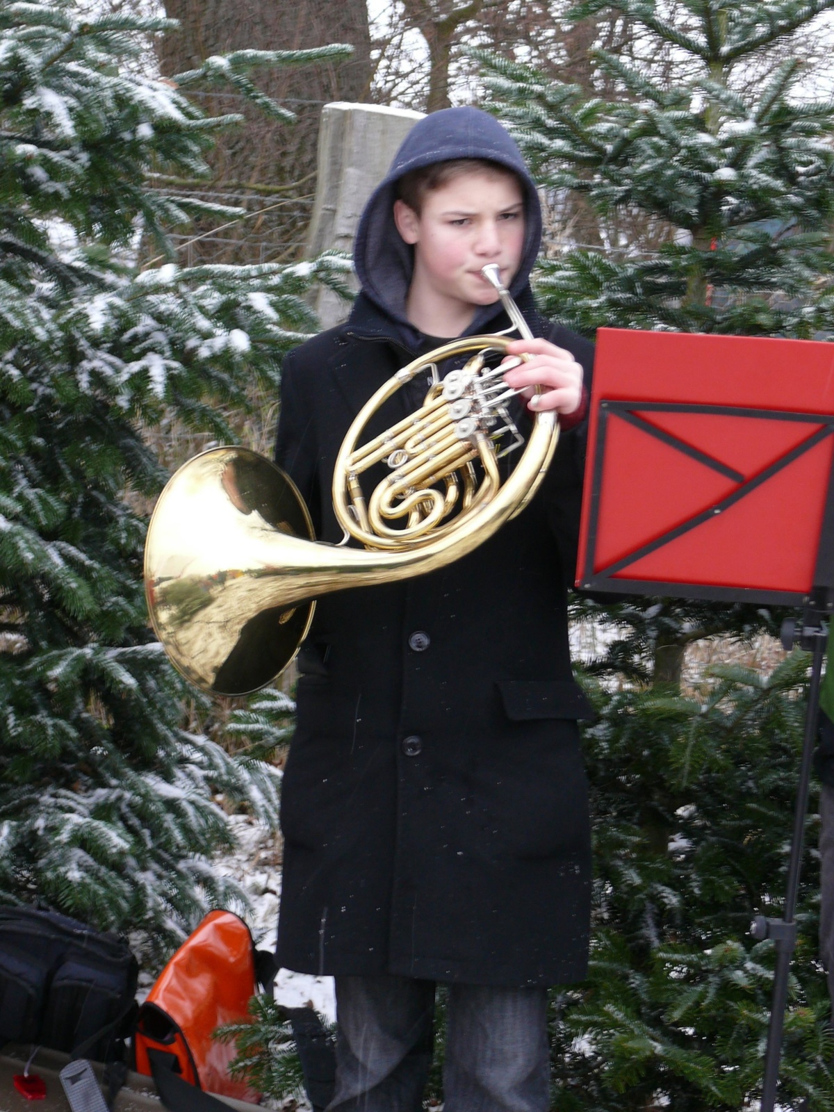 22.12.12 Baumschlagen 