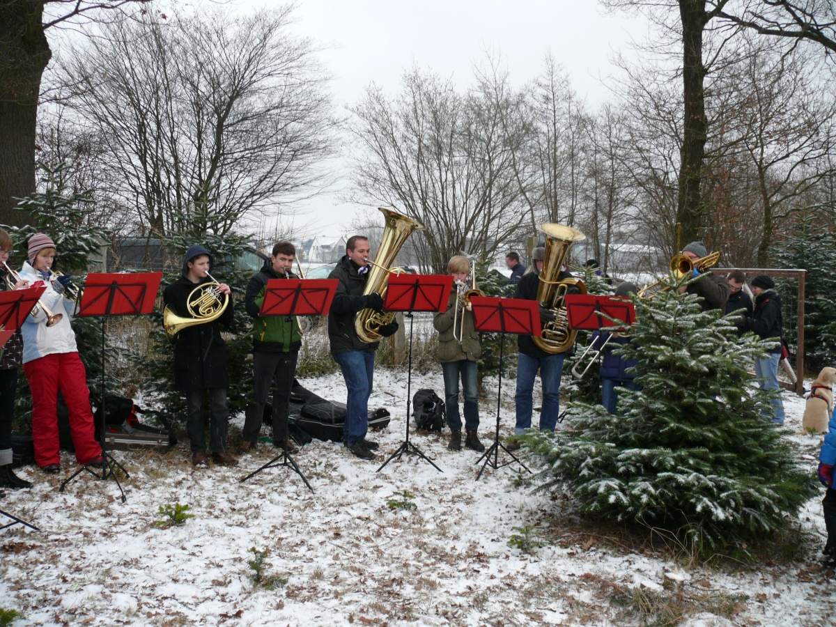 22.12.12 Baumschlagen 