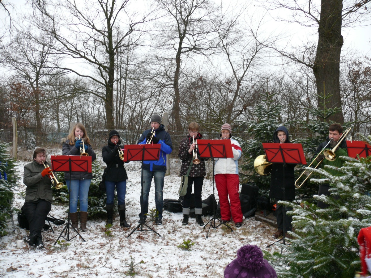 22.12.12 Baumschlagen 