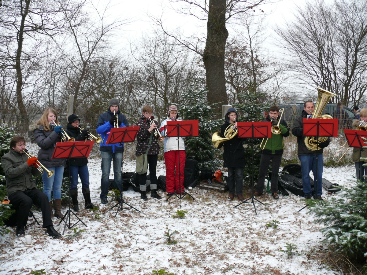 22.12.12 Baumschlagen 