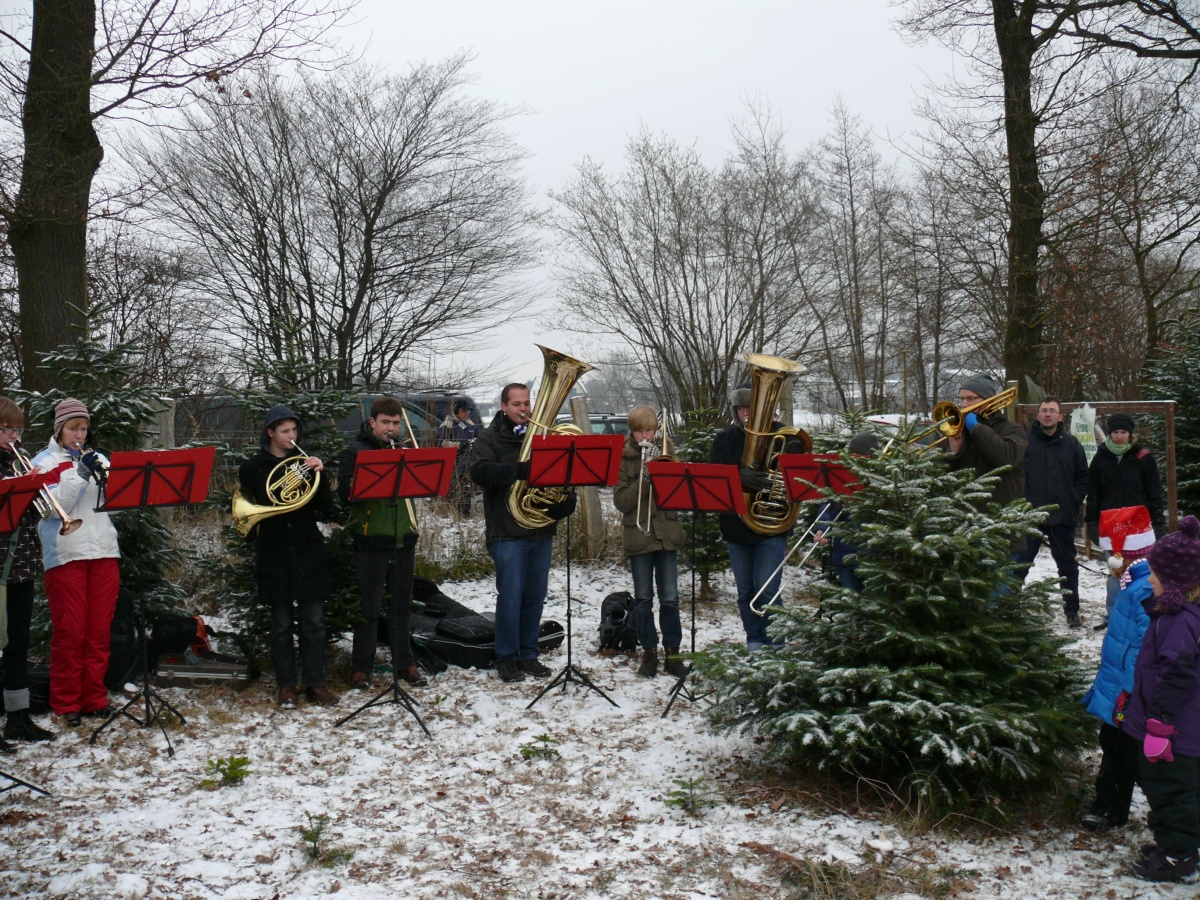 22.12.12 Baumschlagen 