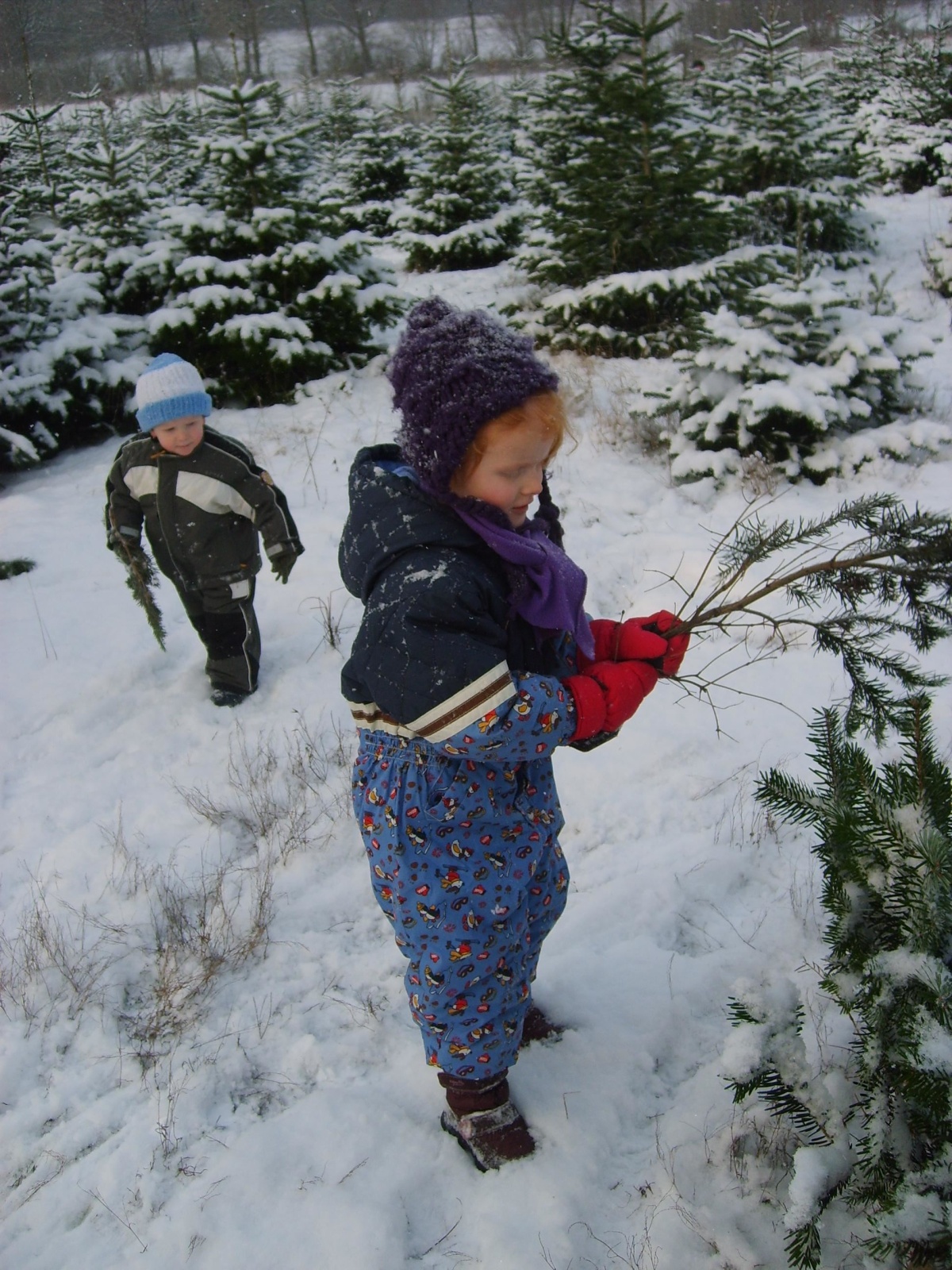 19.12.09 Baumschlagen