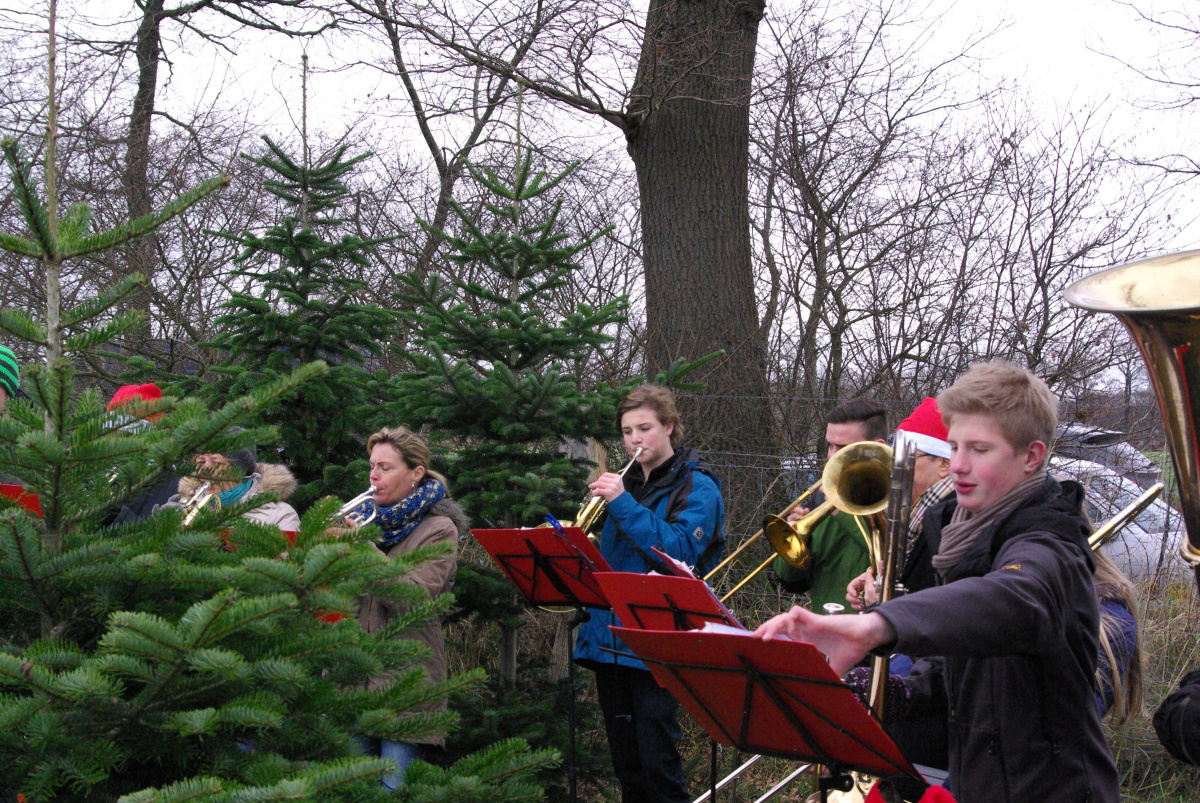 21.12.13 Baumschlagen 