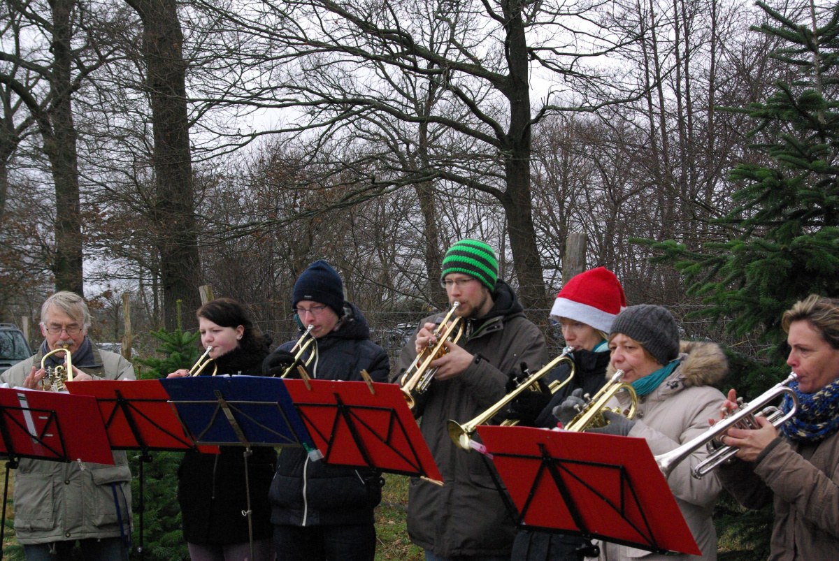 21.12.13 Baumschlagen 