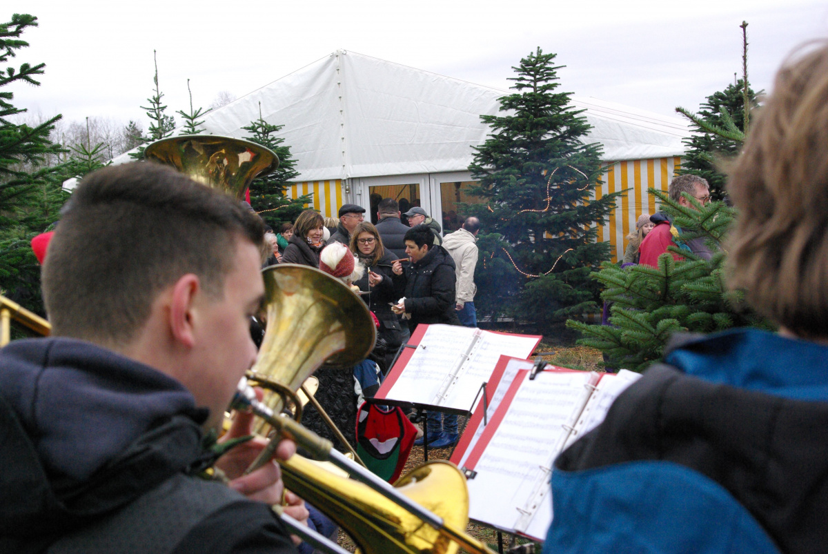 21.12.13 Baumschlagen 