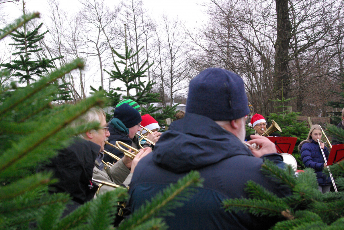 21.12.13 Baumschlagen 