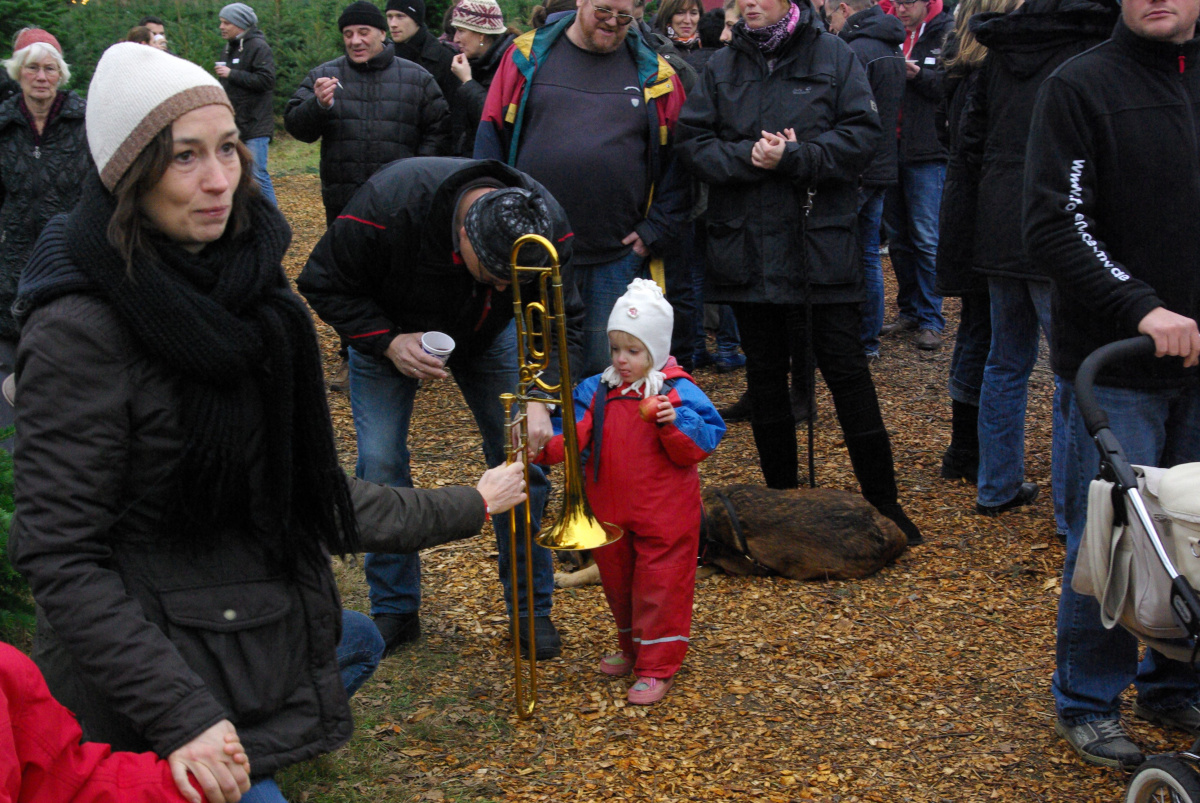 21.12.13 Baumschlagen 