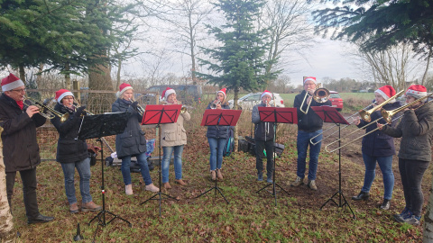 Baumschlagen bei Witzhave