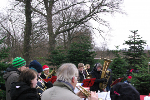 21.12.13 Baumschlagen 