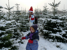 19.12.09 Baumschlagen