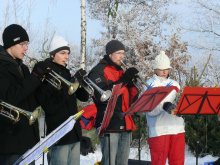 18.12.10 Baumschlagen 