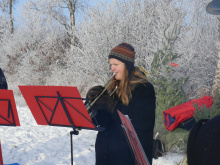 18.12.10 Baumschlagen 