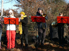 17.12.11 Baumschlagen 