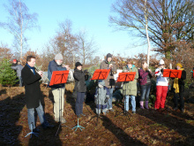 17.12.11 Baumschlagen 