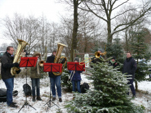 22.12.12 Baumschlagen 