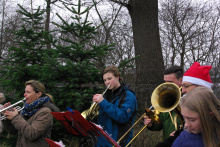 21.12.13 Baumschlagen 