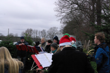 21.12.13 Baumschlagen 