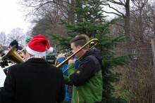 21.12.13 Baumschlagen 