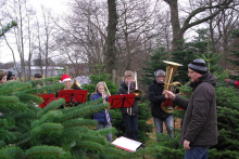 21.12.13 Baumschlagen 