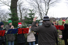 21.12.13 Baumschlagen 