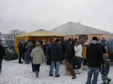 19.12.09 Baumschlagen