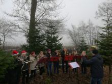 2016 - Baumschlagen 17.12.