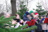 21.12.13 Baumschlagen 