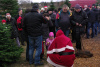 21.12.13 Baumschlagen 
