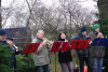 21.12.13 Baumschlagen 