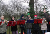 21.12.13 Baumschlagen 